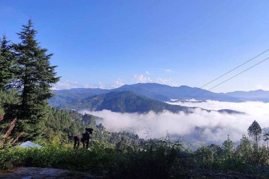 Vila Little Himalayan Abode Almora Exteriér fotografie