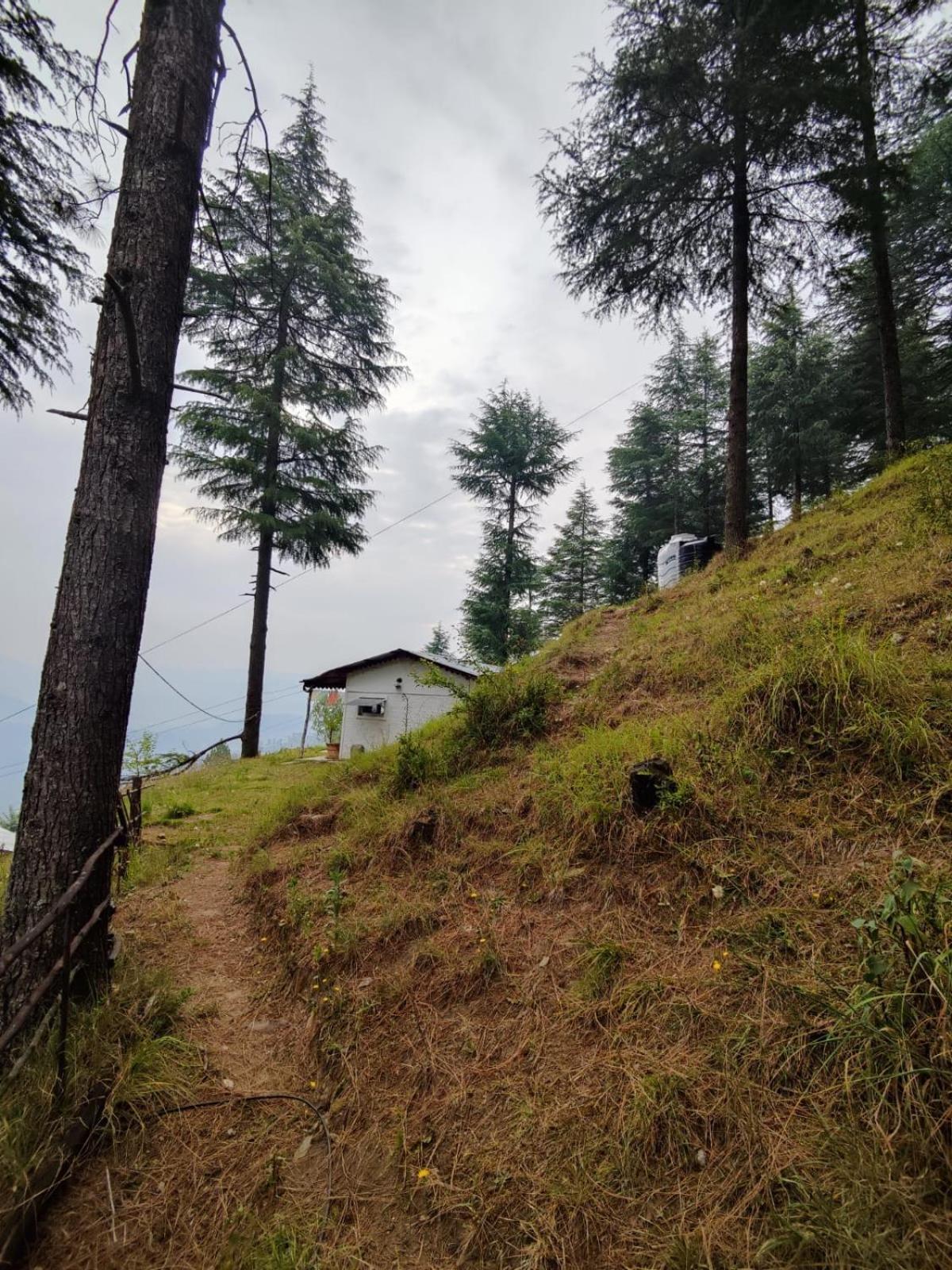 Vila Little Himalayan Abode Almora Exteriér fotografie